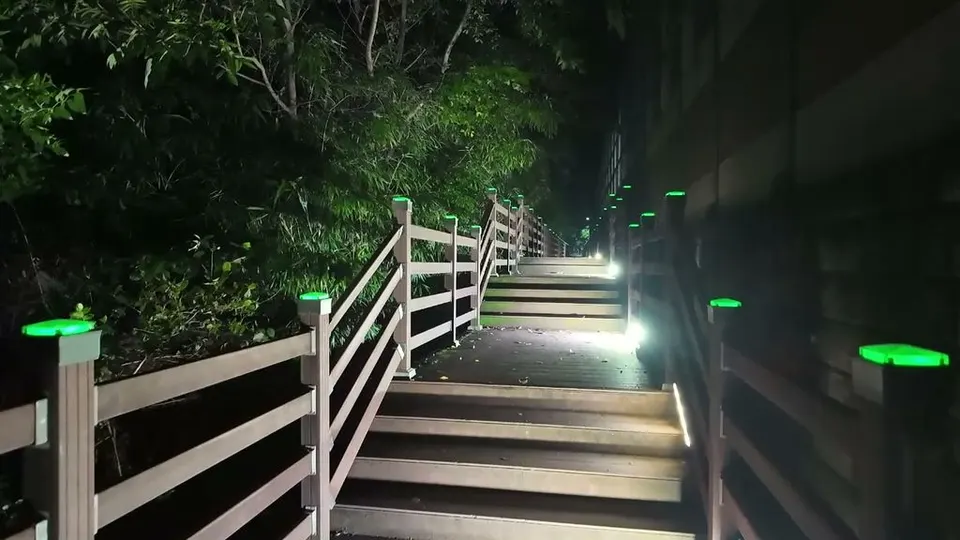 Wooden boardwalk stairs at night with green lights on the fence posts