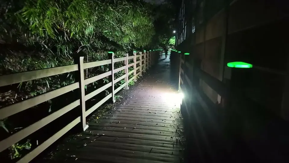 Dark wooden boardwalk path between bamboo and a stone wall