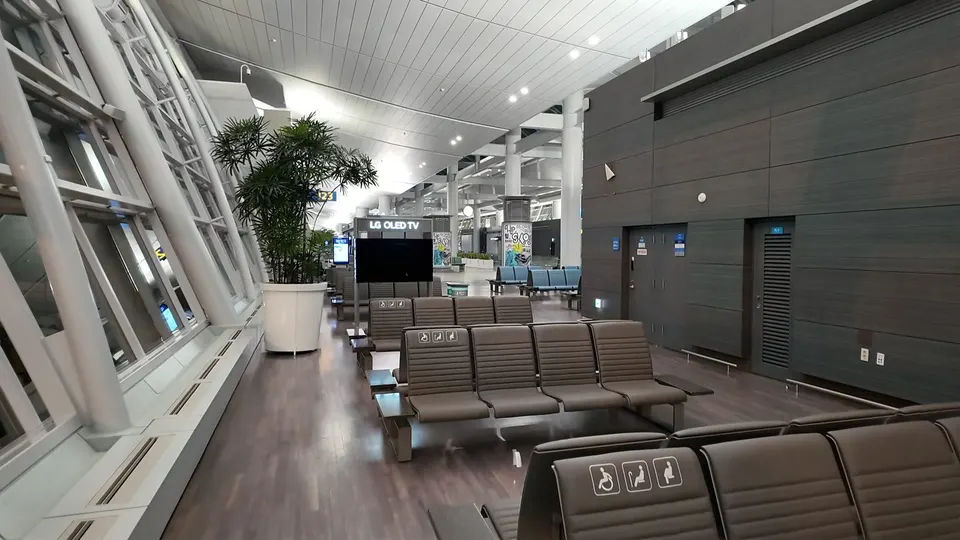 Empty rows of brown leather seats at an Incheon departure gate with a potted palm and a television