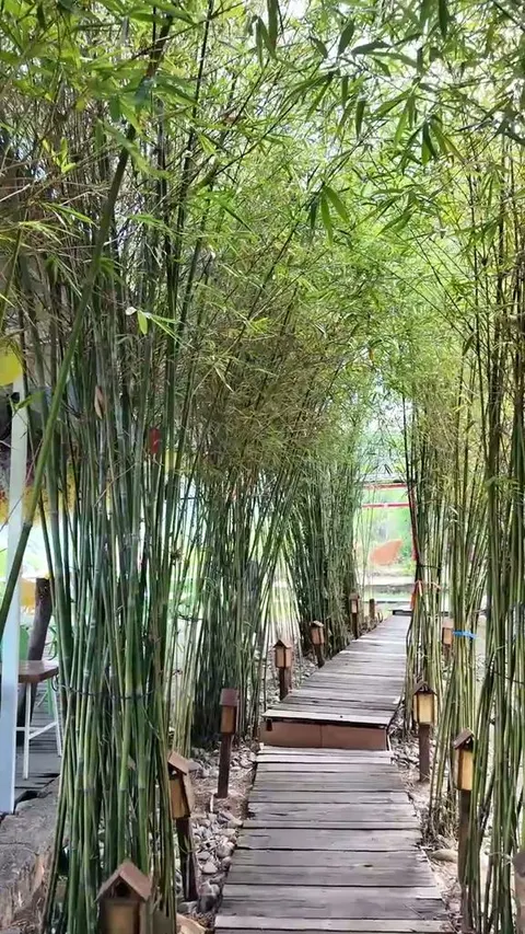 Wooden plank boardwalk running through dense bamboo with small lamps staked along both sides
