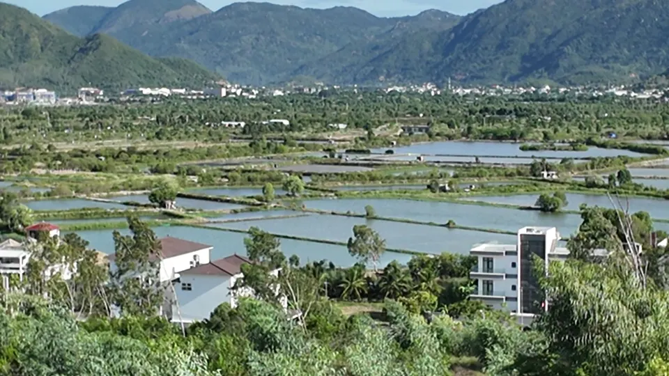 View from the hill over rectangular fish ponds and green banks, mountains and a distant city on the horizon