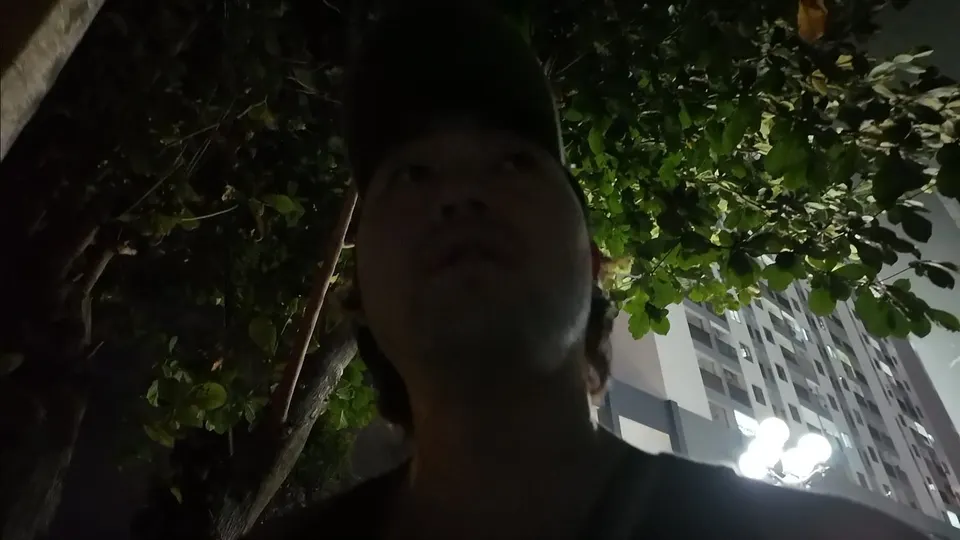 Eddie in a cap looking up under a tree at night, an apartment block lit behind him