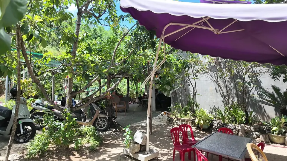 Purple umbrella over a stone table with red plastic chairs and scooters parked under trees