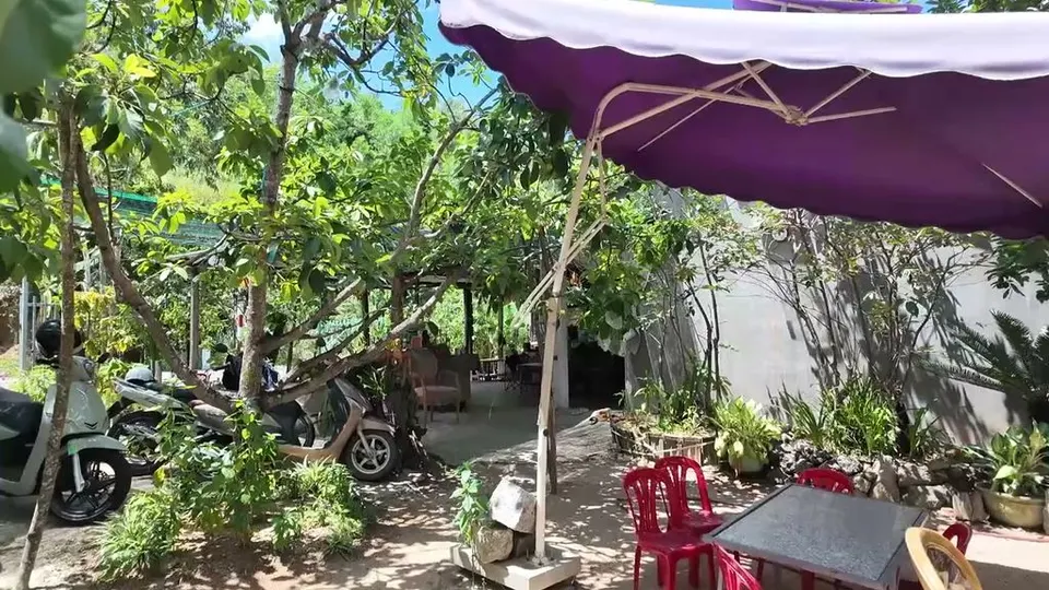Garden entrance of the cafe with a large purple umbrella, red plastic chairs, and scooters parked under trees