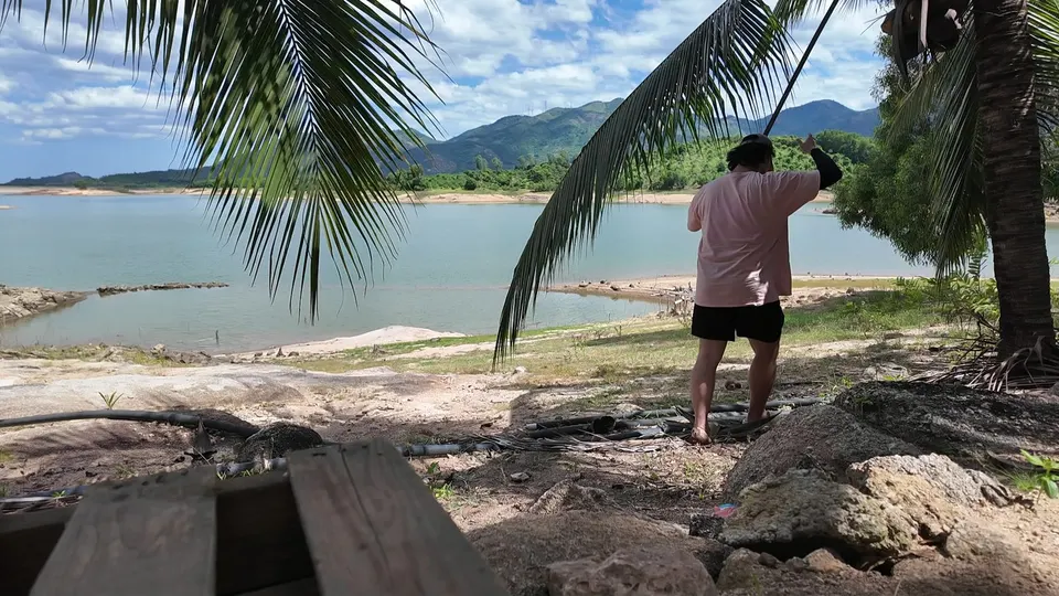 A person in a pink shirt standing at the lake shore under a coconut palm, pointing at the hills