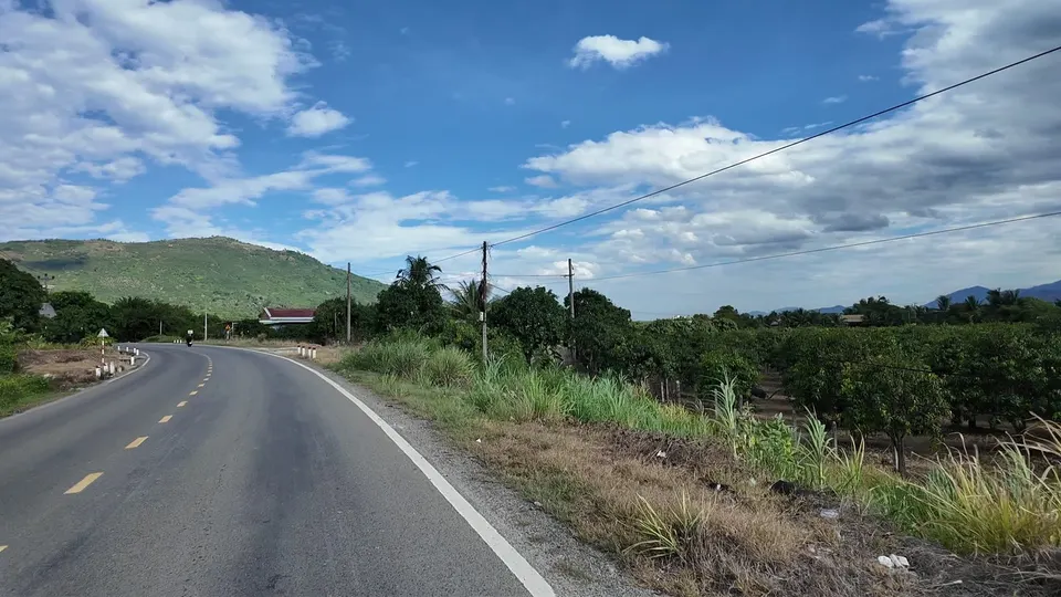 Country road curving left past an orchard with a green hill ahead